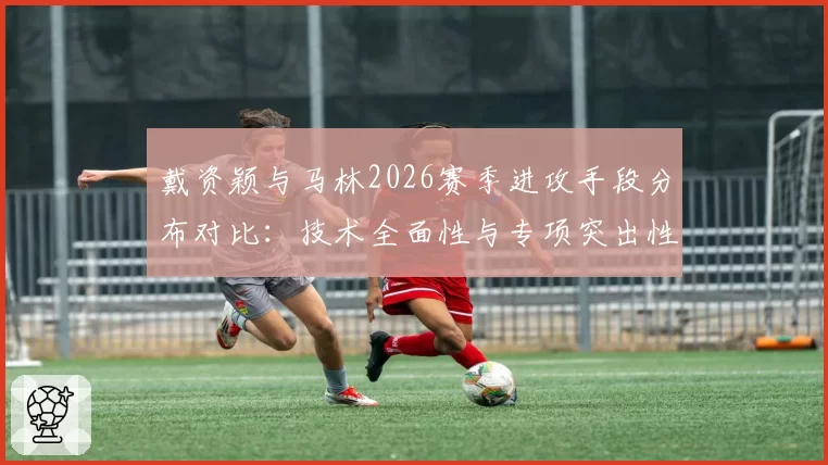 戴资颖与马林2026赛季进攻手段分布对比:技术全面性与专项突出性博弈