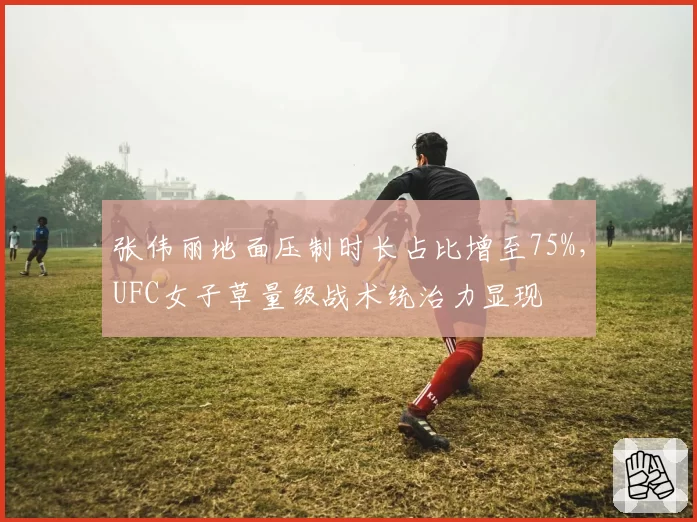 张伟丽地面压制时长占比增至75%，UFC女子草量级战术统治力显现