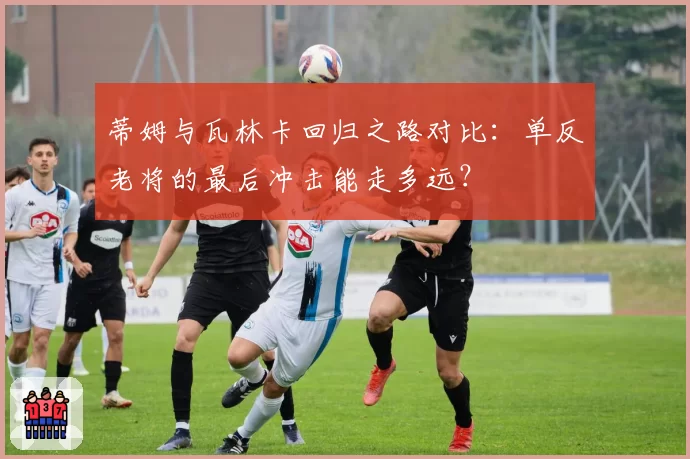 蒂姆与瓦林卡回归之路对比：单反老将的最后冲击能走多远？