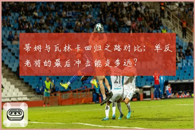 蒂姆与瓦林卡回归之路对比:单反老将的最后冲击能走多远?